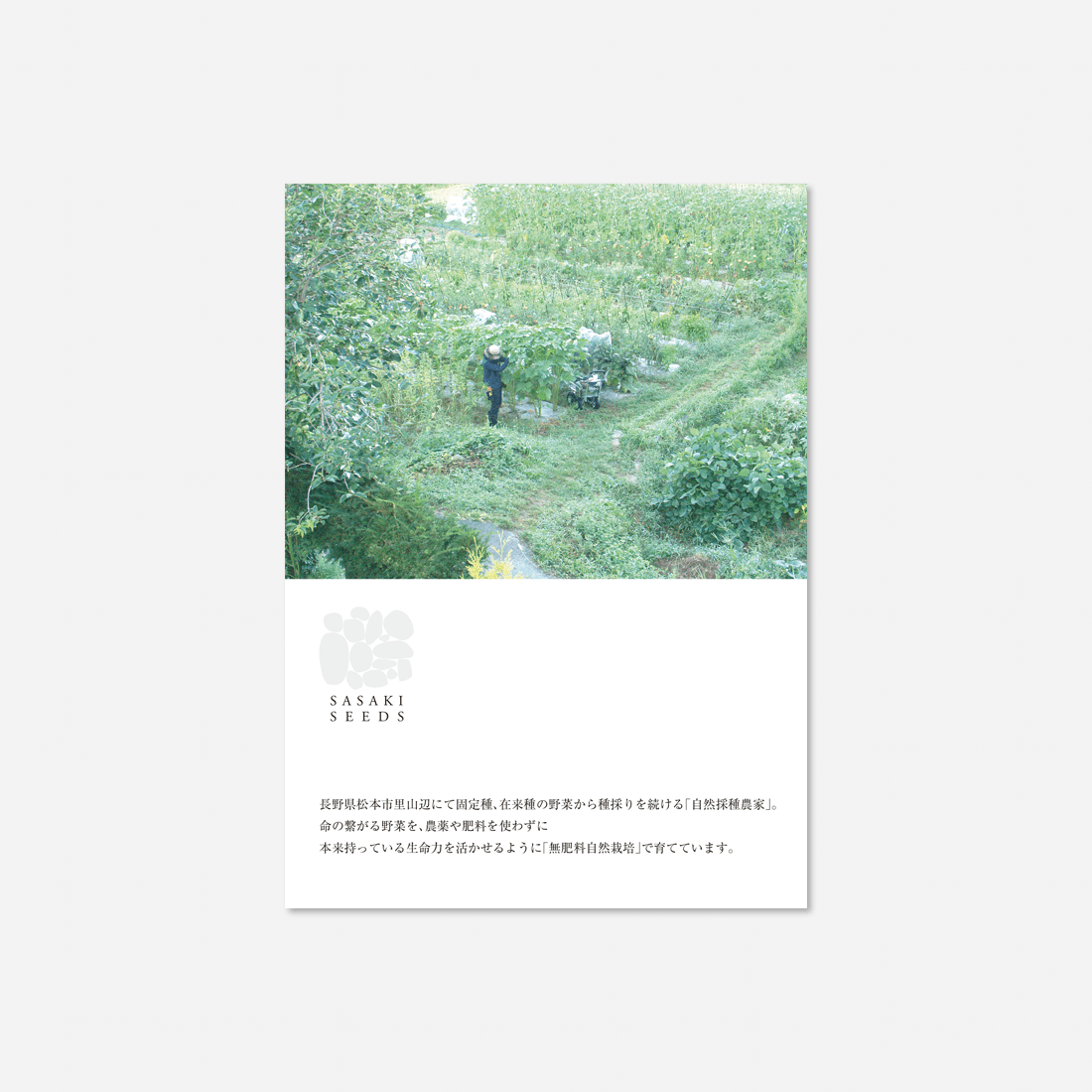 SASAKI SEEDS / リーフレット