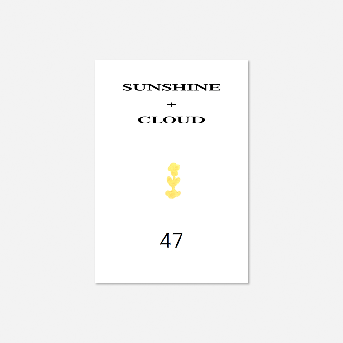 sunshine + cloud / カタログ