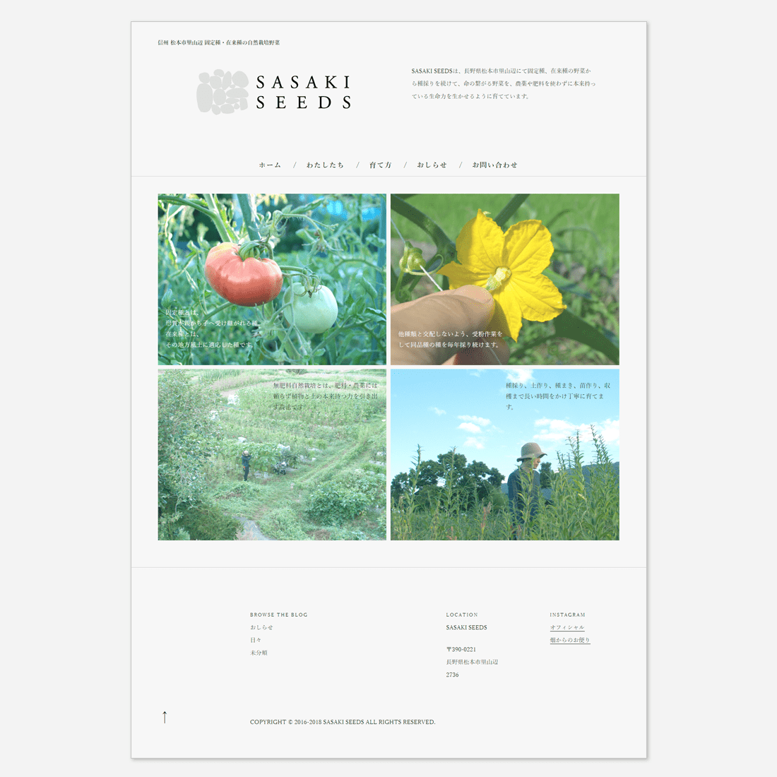 SASAKI SEEDS / WEB