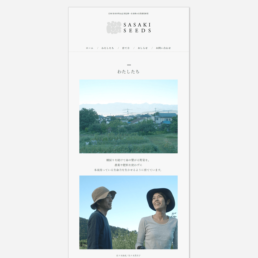 SASAKI SEEDS / WEB