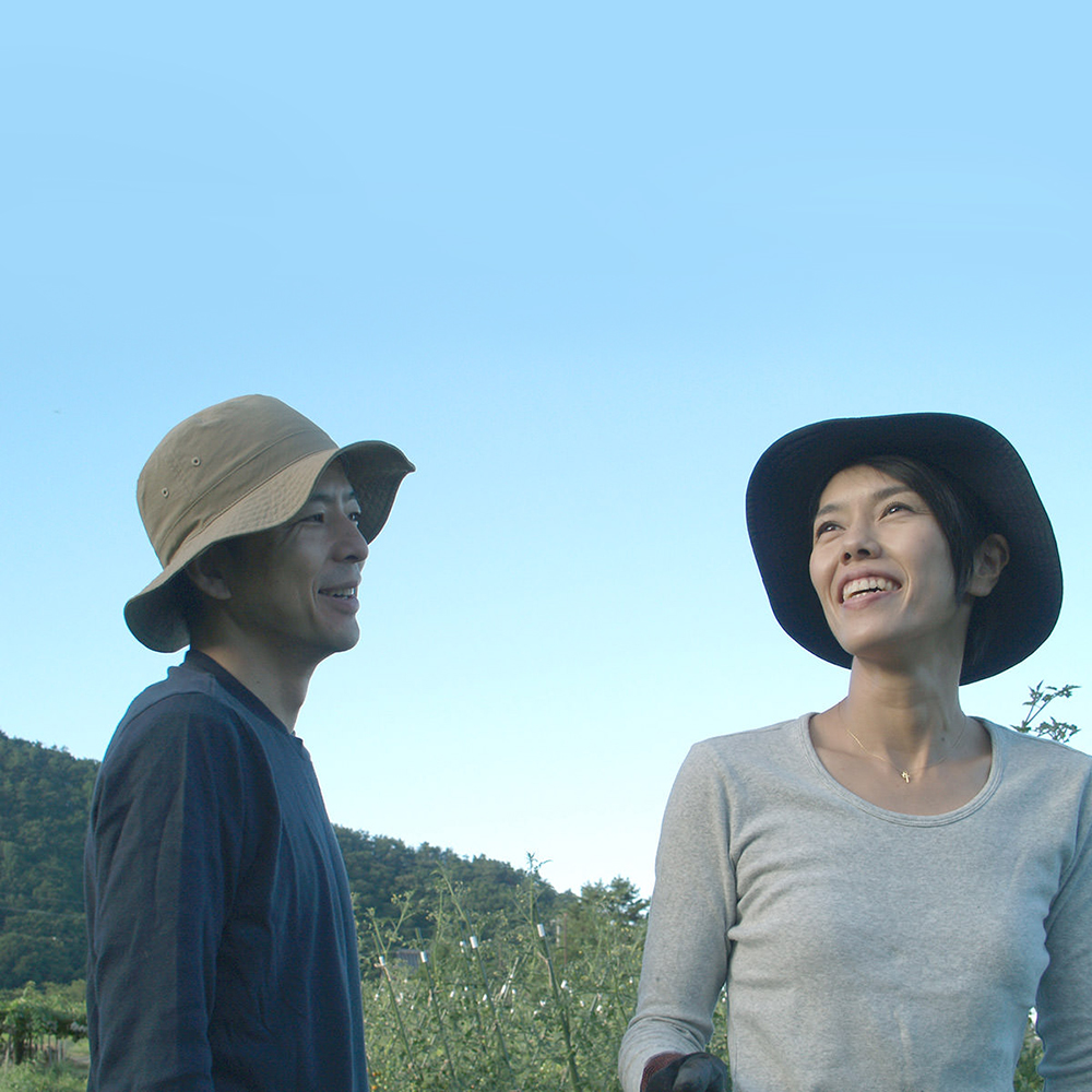 soco by SASAKI SEEDS / ロゴ・WEB