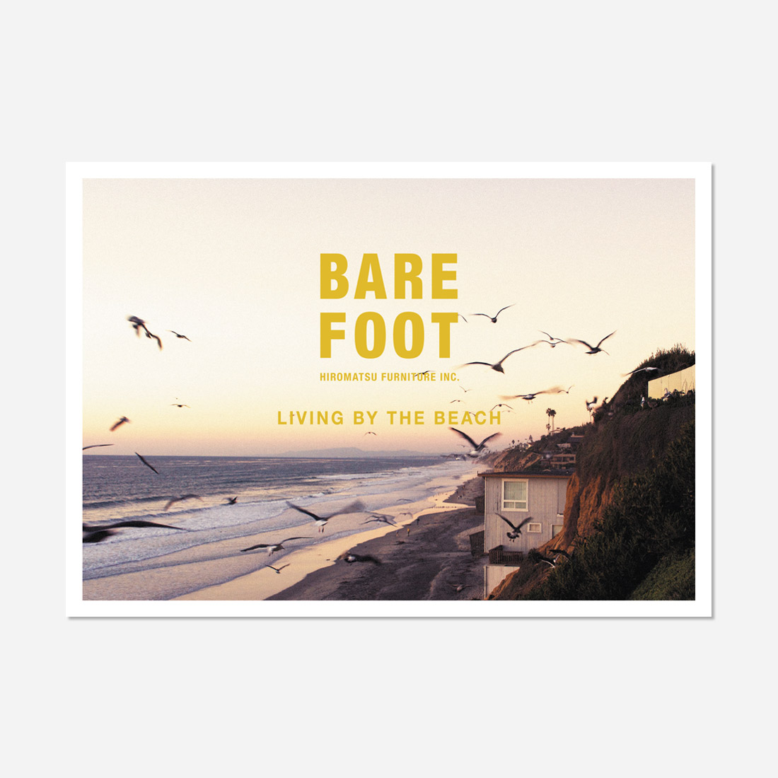 BAREFOOT / パンフレット